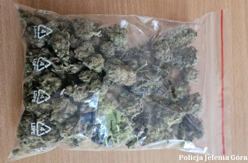 Policja zabezpieczyła narkotyki – zatrzymany 29-latek