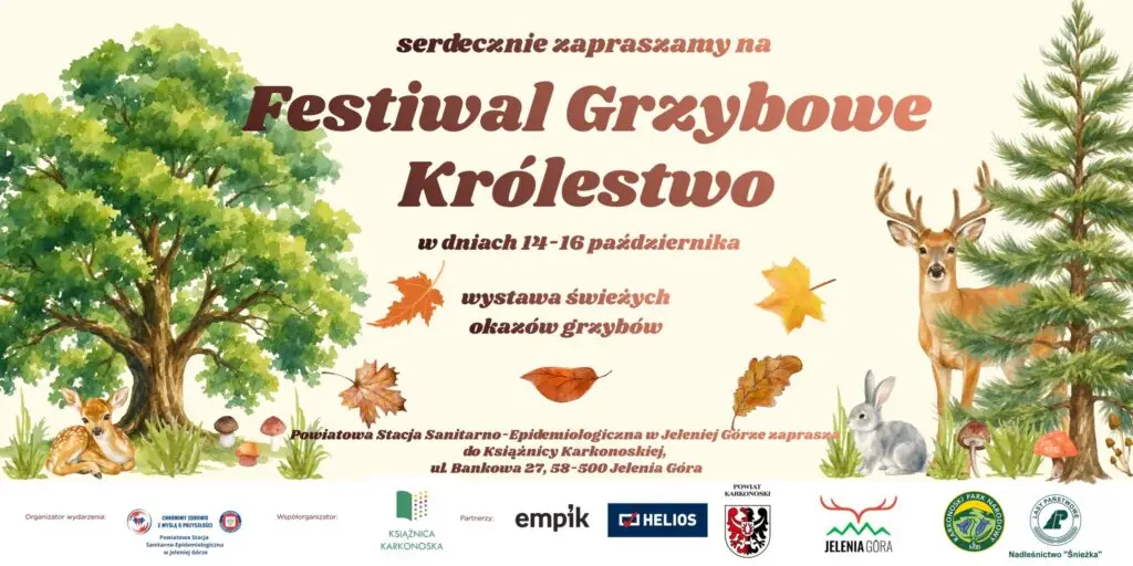 Festiwal Grzybowe Królestwo w Jeleniej Górze