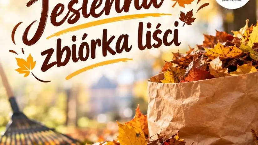 Terminy jesiennej zbiórki liści w Jeleniej Górze