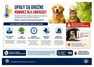 Zagrożenie w nagrzanym samochodzie – nie zostawiaj dzieci ani zwierząt bez opieki