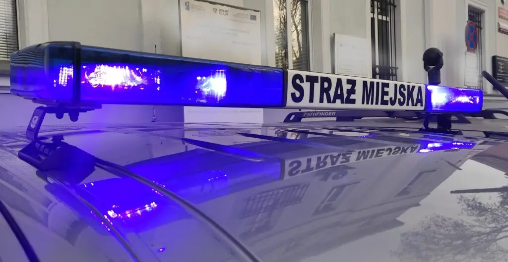 Obywatel Litwy usunął blokadę na kołach samochodu
