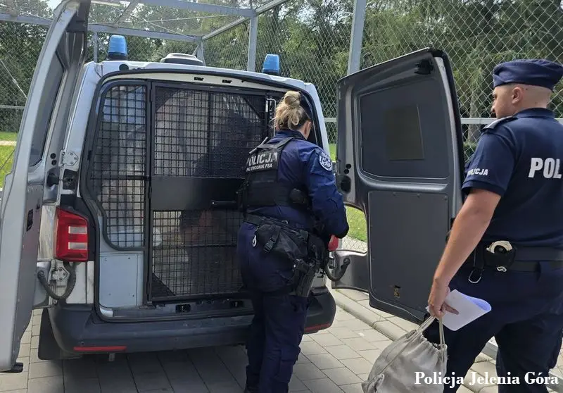 Zatrzymanie fałszywego masażysty w uzdrowisku